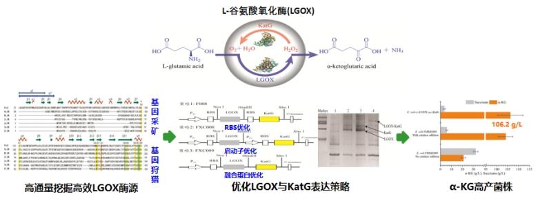 1675909251236950.jpg 003_副本.jpg