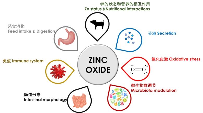 1676084070257810.jpg 34_副本.jpg