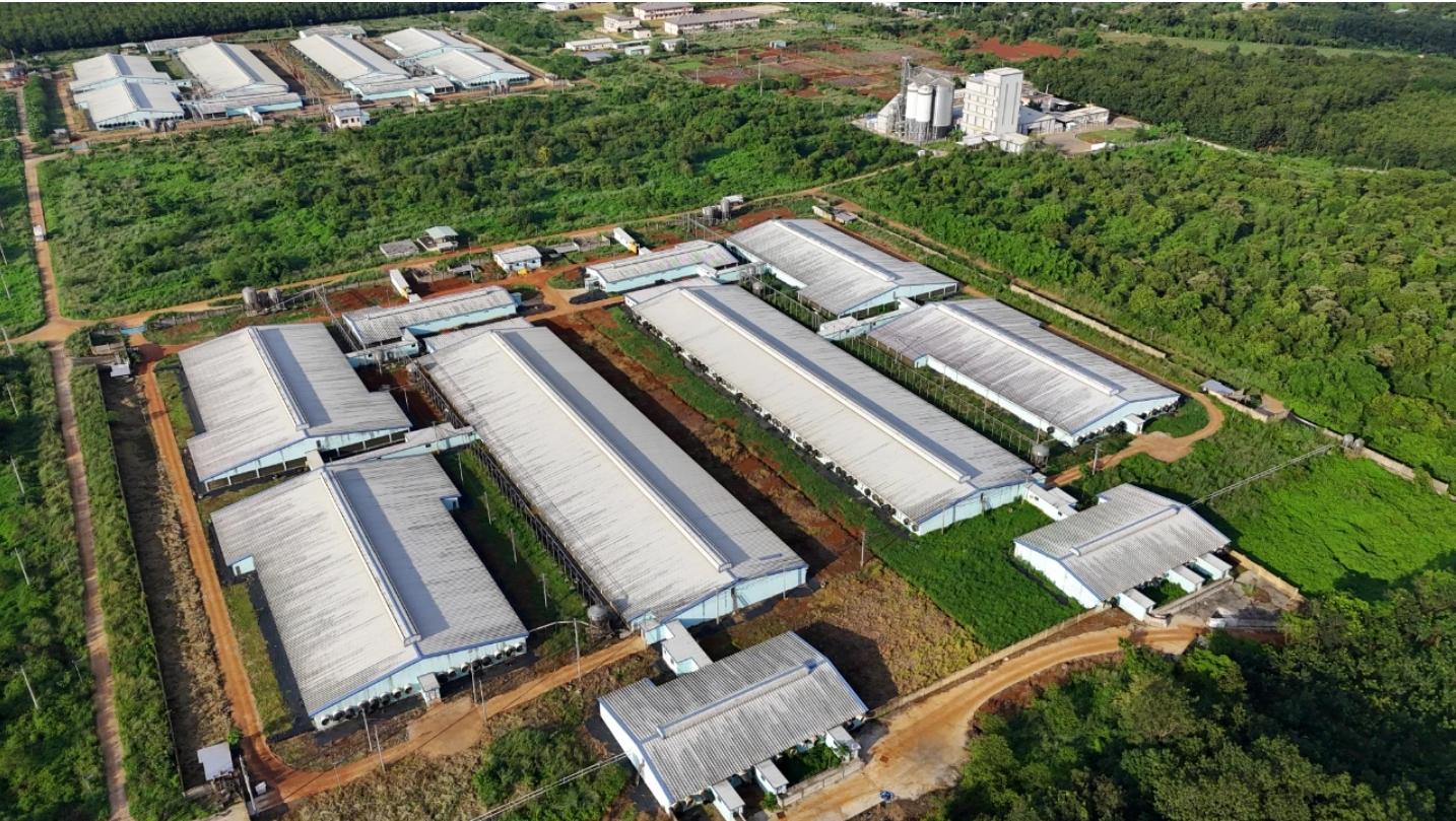 1732504323581795.jpg 1732504323581795.jpg