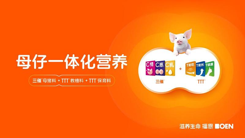 1765440925778411.jpg 5.jpg